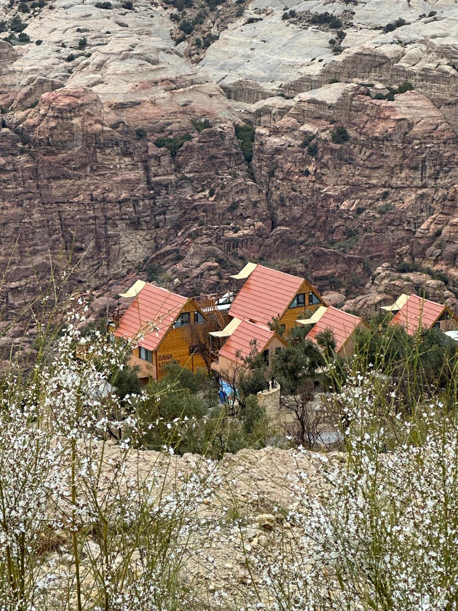 Dana Luxury Huts Hotell Exteriör bild